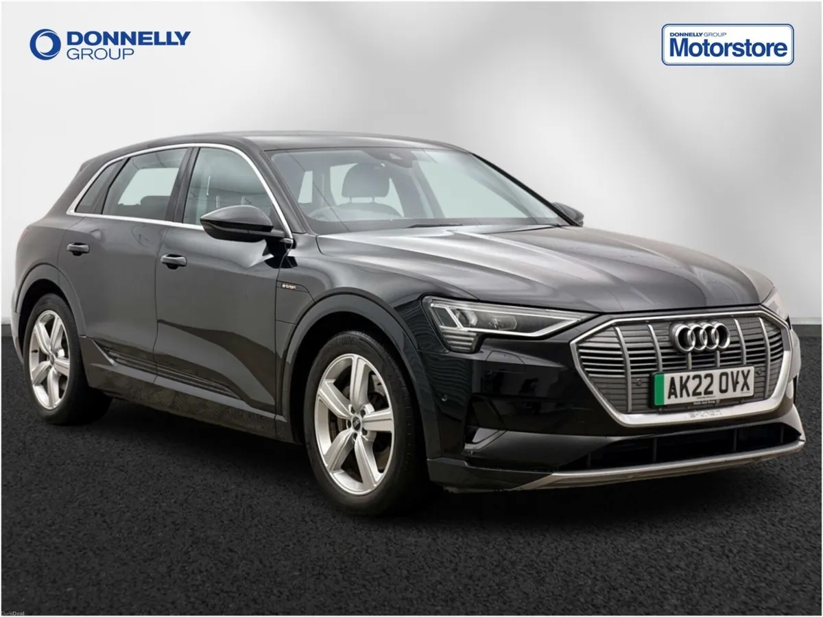 Audi E-tron Estate Technik - Image 1