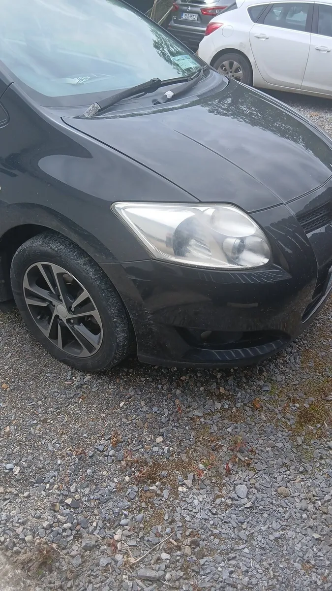 Auris - Image 1