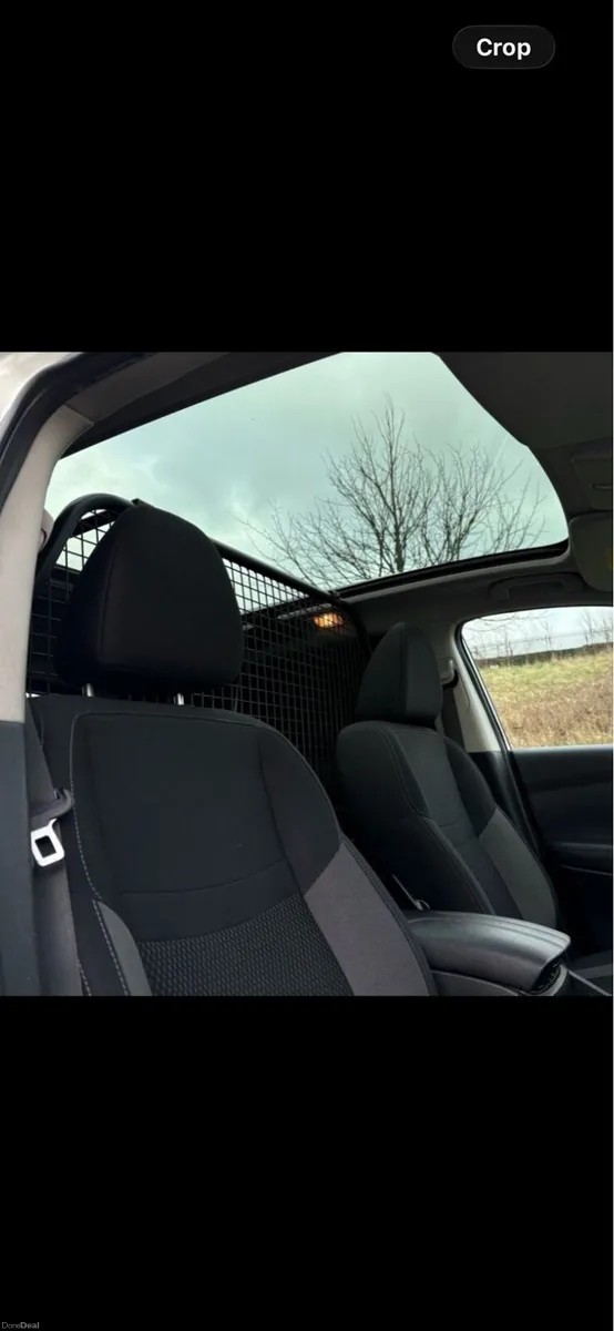 2019 Nissan Qashqai  1.5 DCI - Image 6