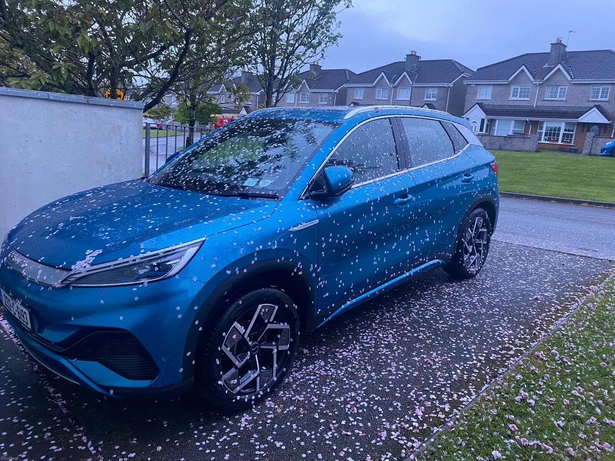 Gorgeous BYD - Image 1