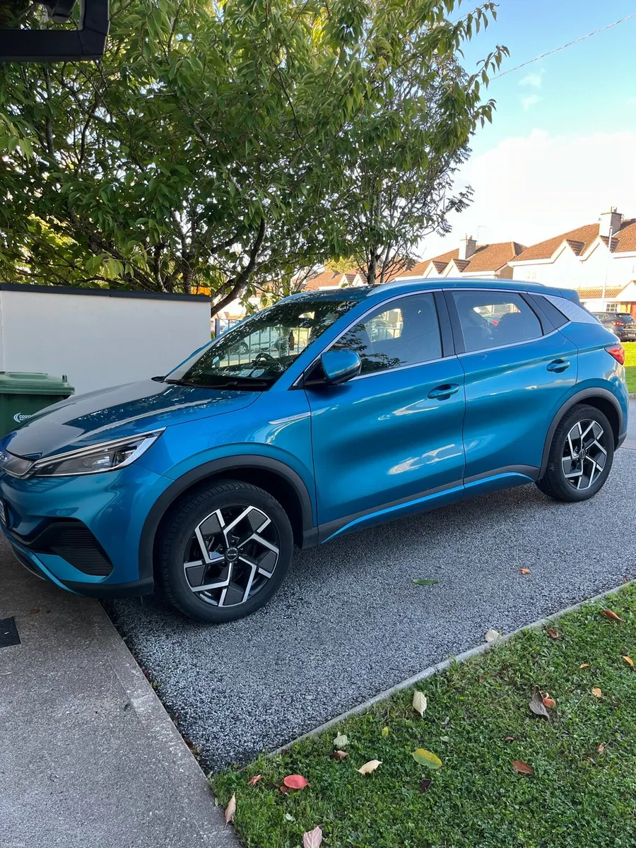 Gorgeous BYD - Image 2