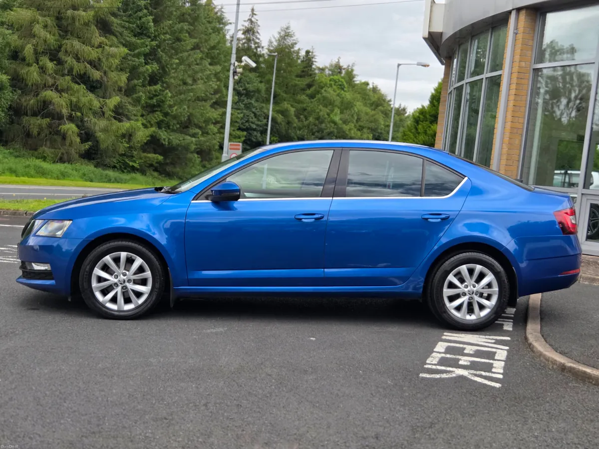 **Low KMs** Auto - Skoda Octavia TDi Ambition - Image 6