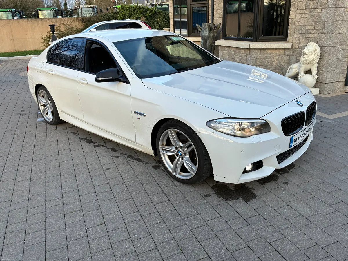 2016 BMW 520d auto m-sport - Image 2