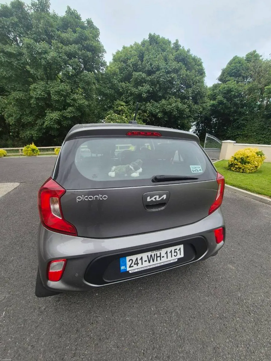 Kia Picanto Automatic - Image 4