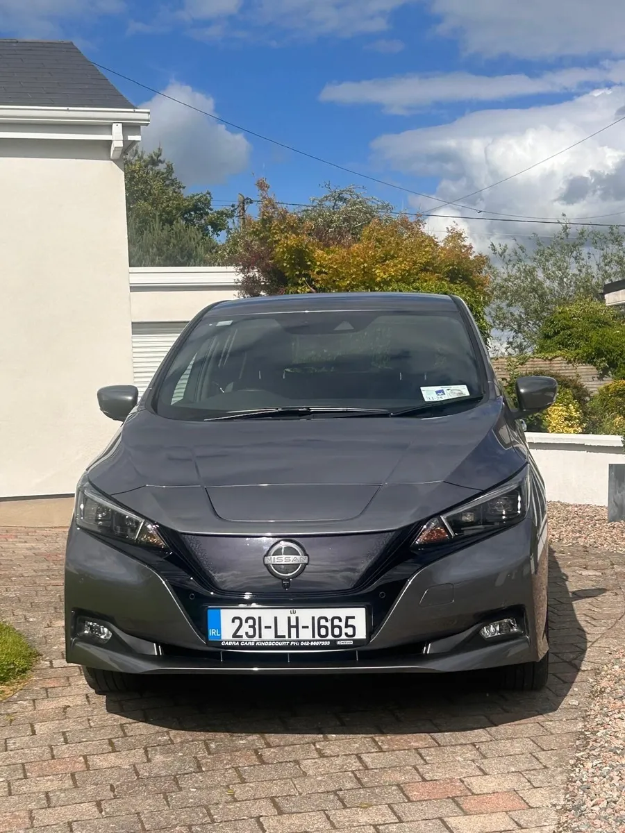 Nissan Leaf - Image 1