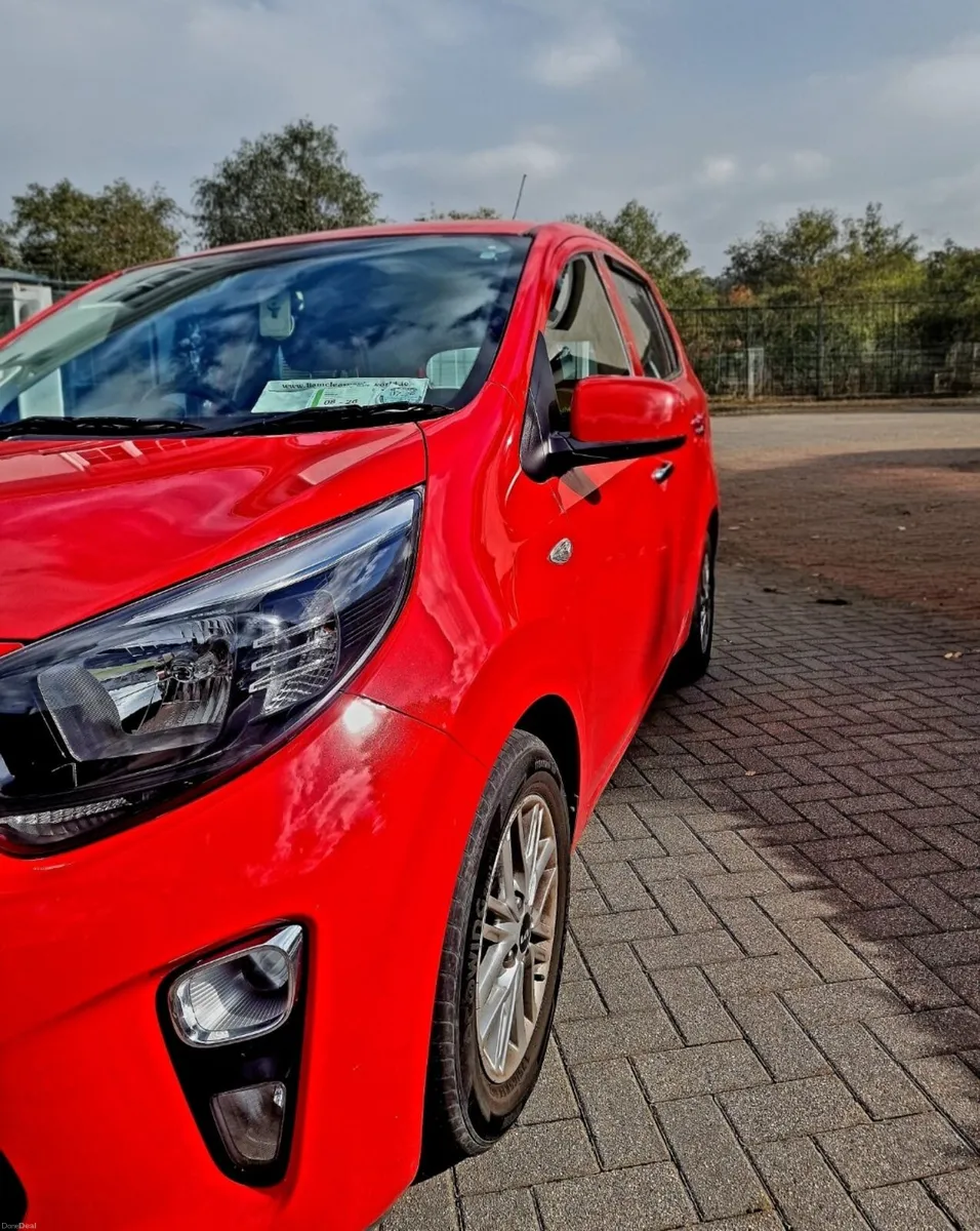 2023 Kia Picanto - Image 6