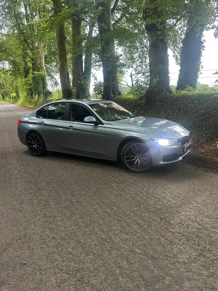 BMW 316d - Image 1