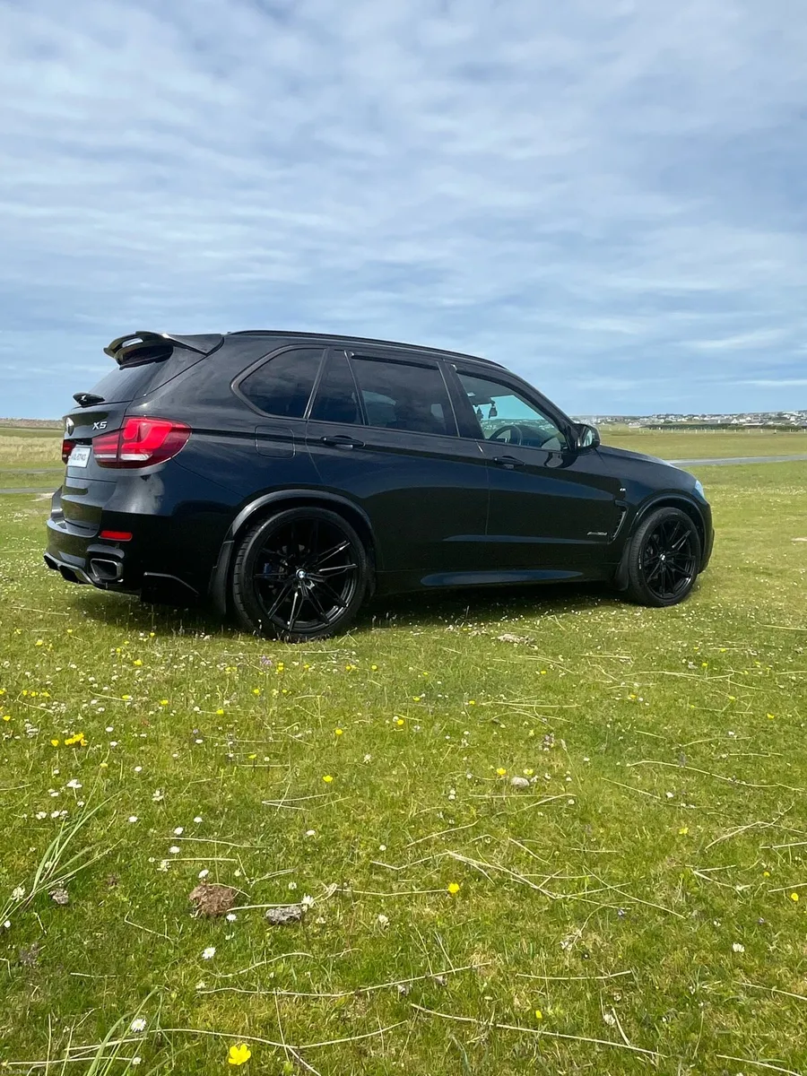 BMW x5 3.0d xDrive 30d M Sport Auto (F15) - Image 3