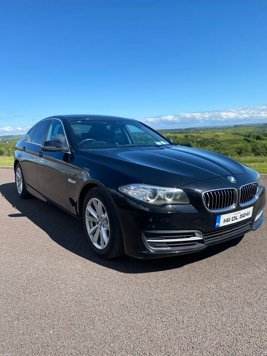 BMW 520 - Image 2