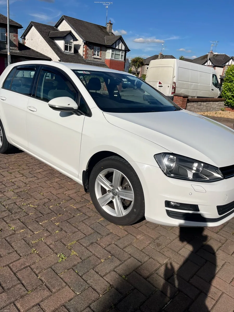 161 Volkswagen Gold - Image 2