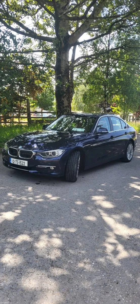 BMW 318 LUXURY 2012year - Image 2