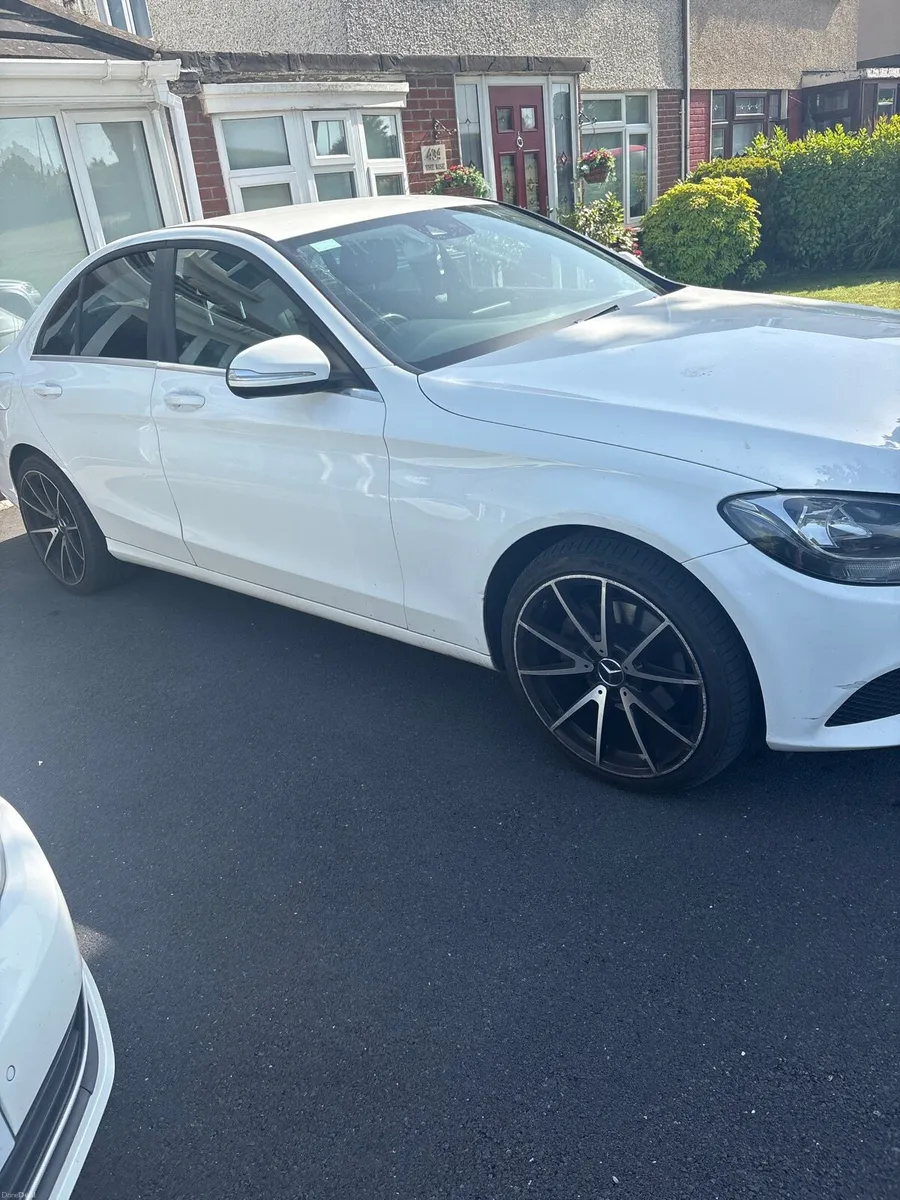 Mercedes White - Image 2