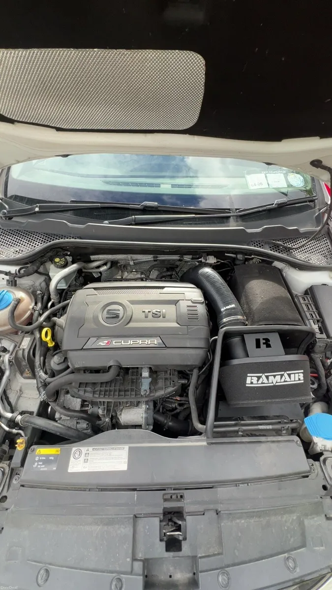 Seat Leon Cupra 280 - Image 5