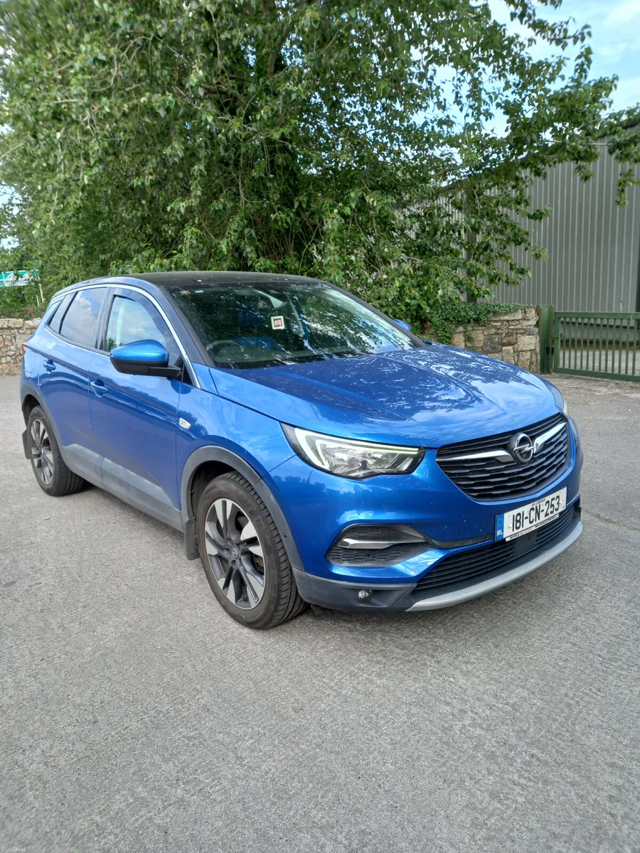 2018 Opel Grandland X 1.6 Diesel - Image 1