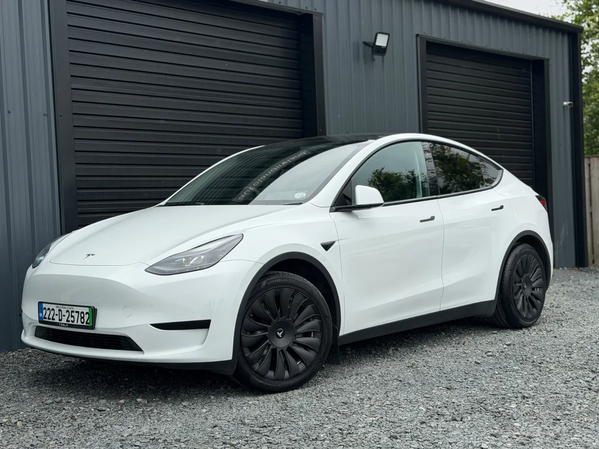 222 Tesla Model Y Standard Plus - Image 1