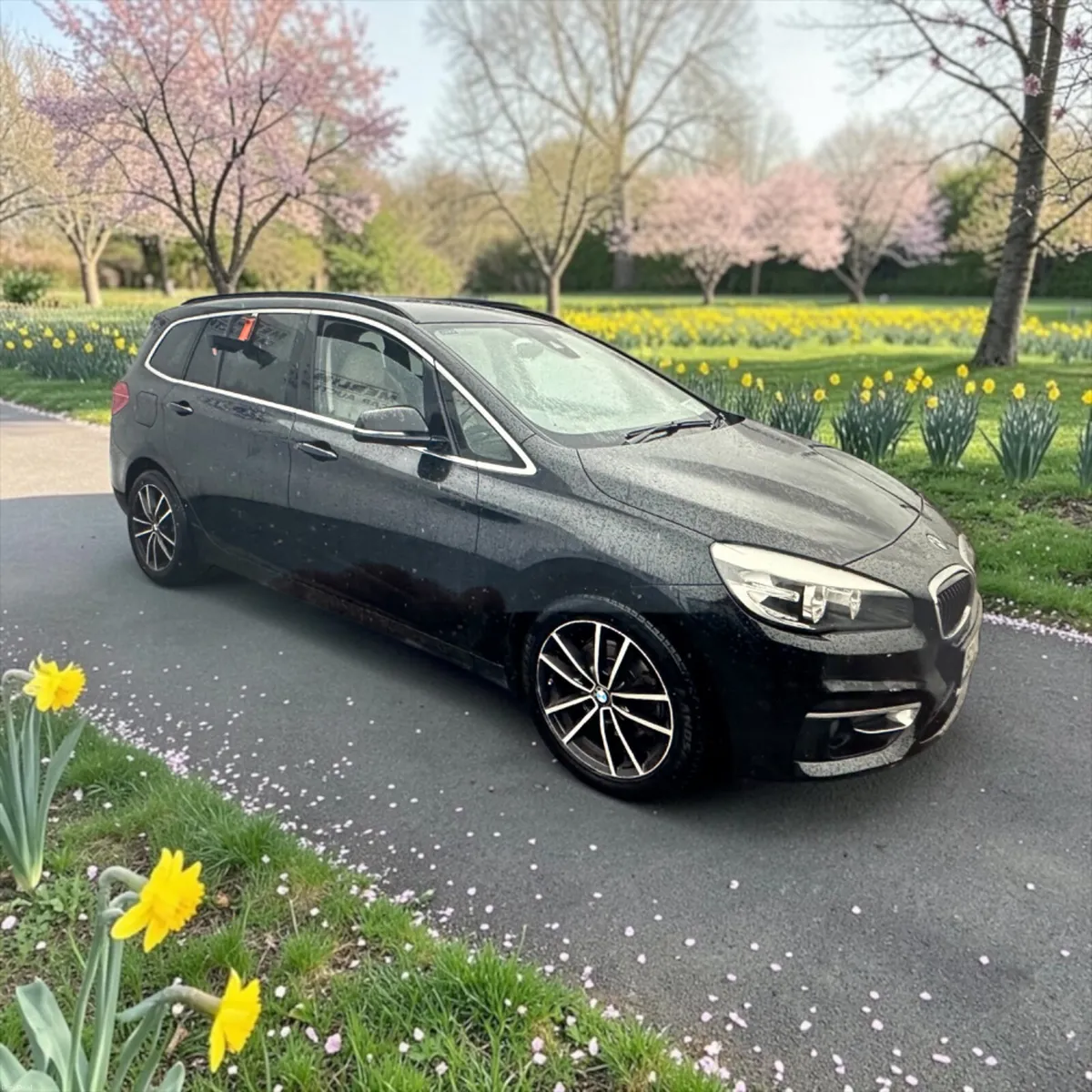 2015 BMW 2-Series 218i SE 1.5 petrol - Image 1