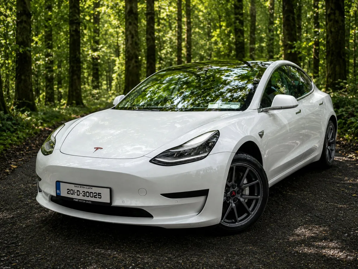 2020 TESLA MODEL 3 - RWD - - Image 2