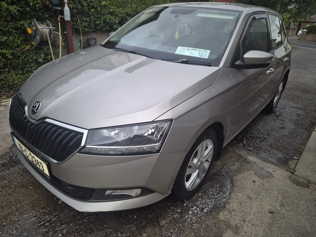 2019 Skoda Fania - Image 4