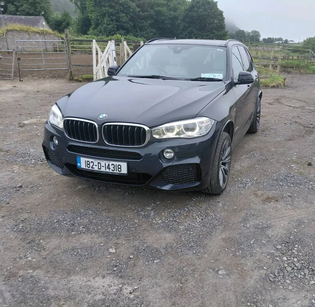 BMW X5 25d Msport 7 seater - Image 3