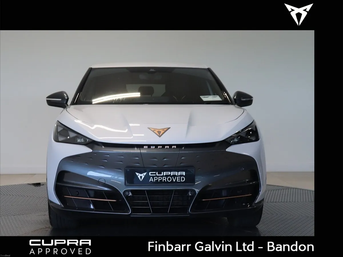 Cupra  TAVASCAN ENDURANCE 282HP (4) - Image 2