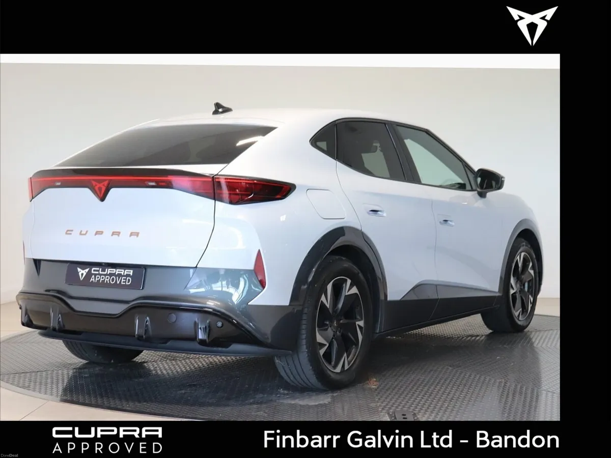 Cupra  TAVASCAN ENDURANCE 282HP (4) - Image 4