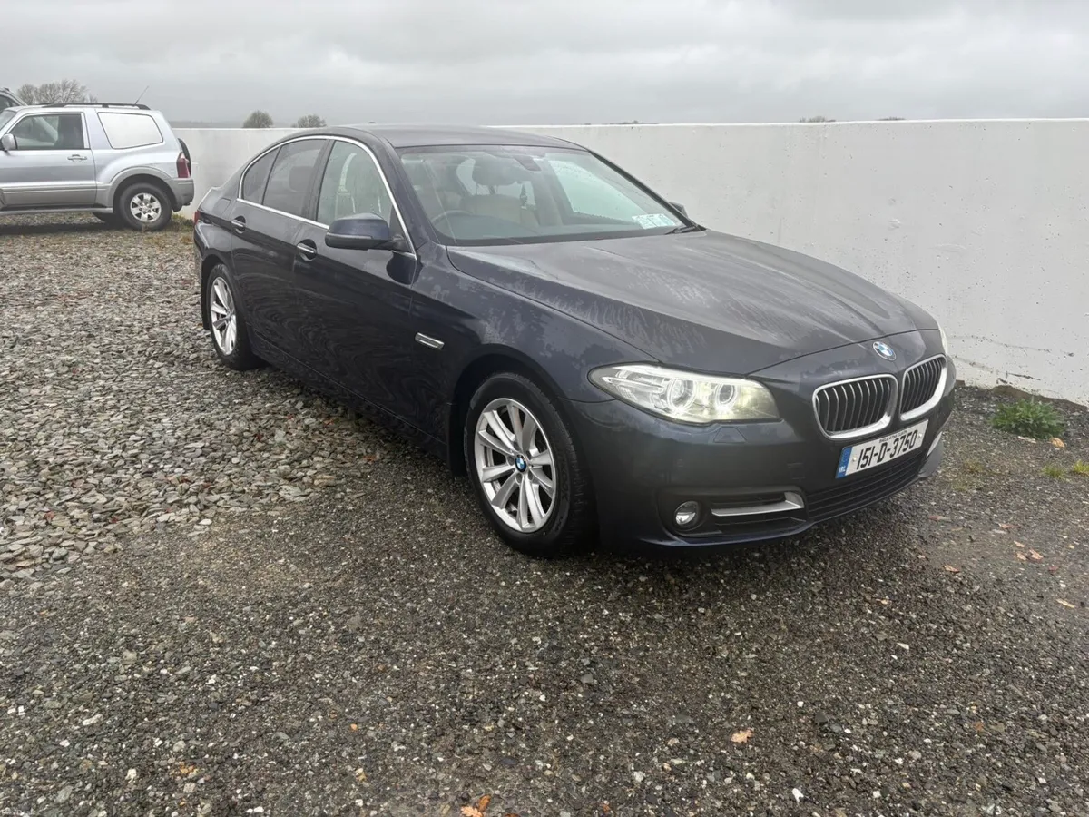 BMW 518 - Image 1