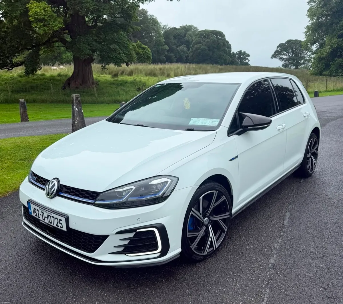 SPOTLESS SPORTY GOLF GTE 2018 - Image 2