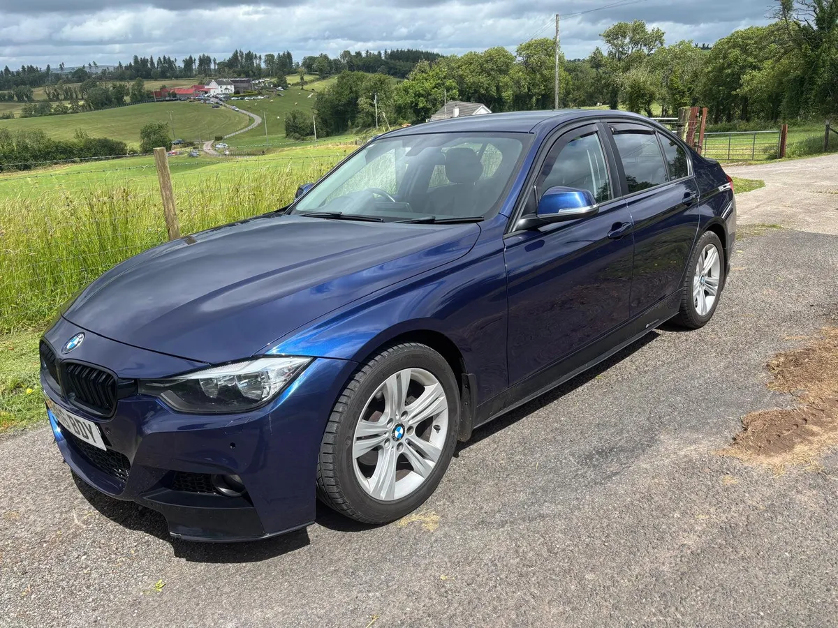 '16 BMW 320D Ed Plus (Low Nox) - Image 2