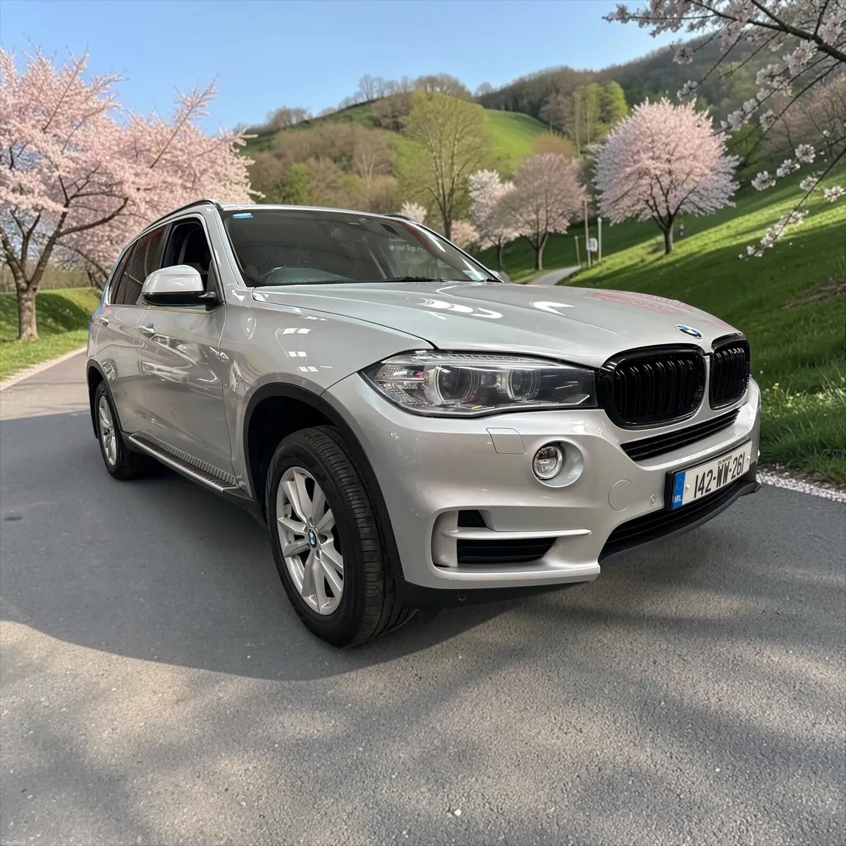 2014 BMW X5 2.0 sDrive25d SE - Image 5