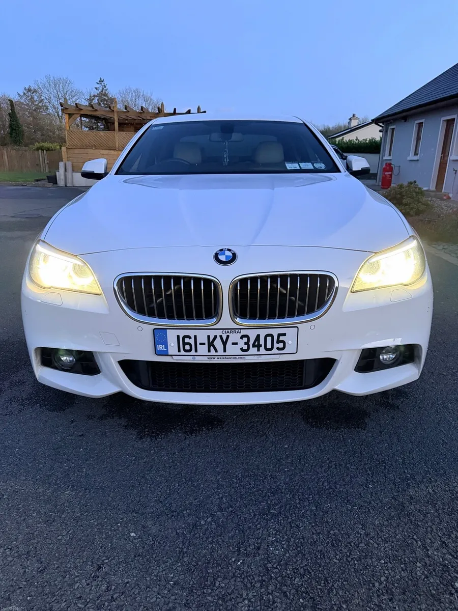 BMW 520d - Image 1