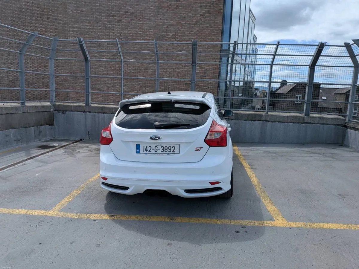 Focus ST-3 250hp - Image 5