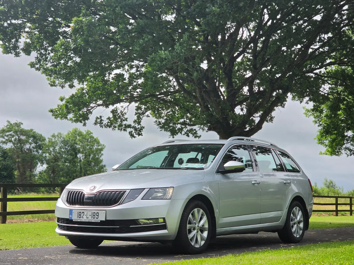 2018 Skoda Octavia Combi 1.6 TDI - Image 1