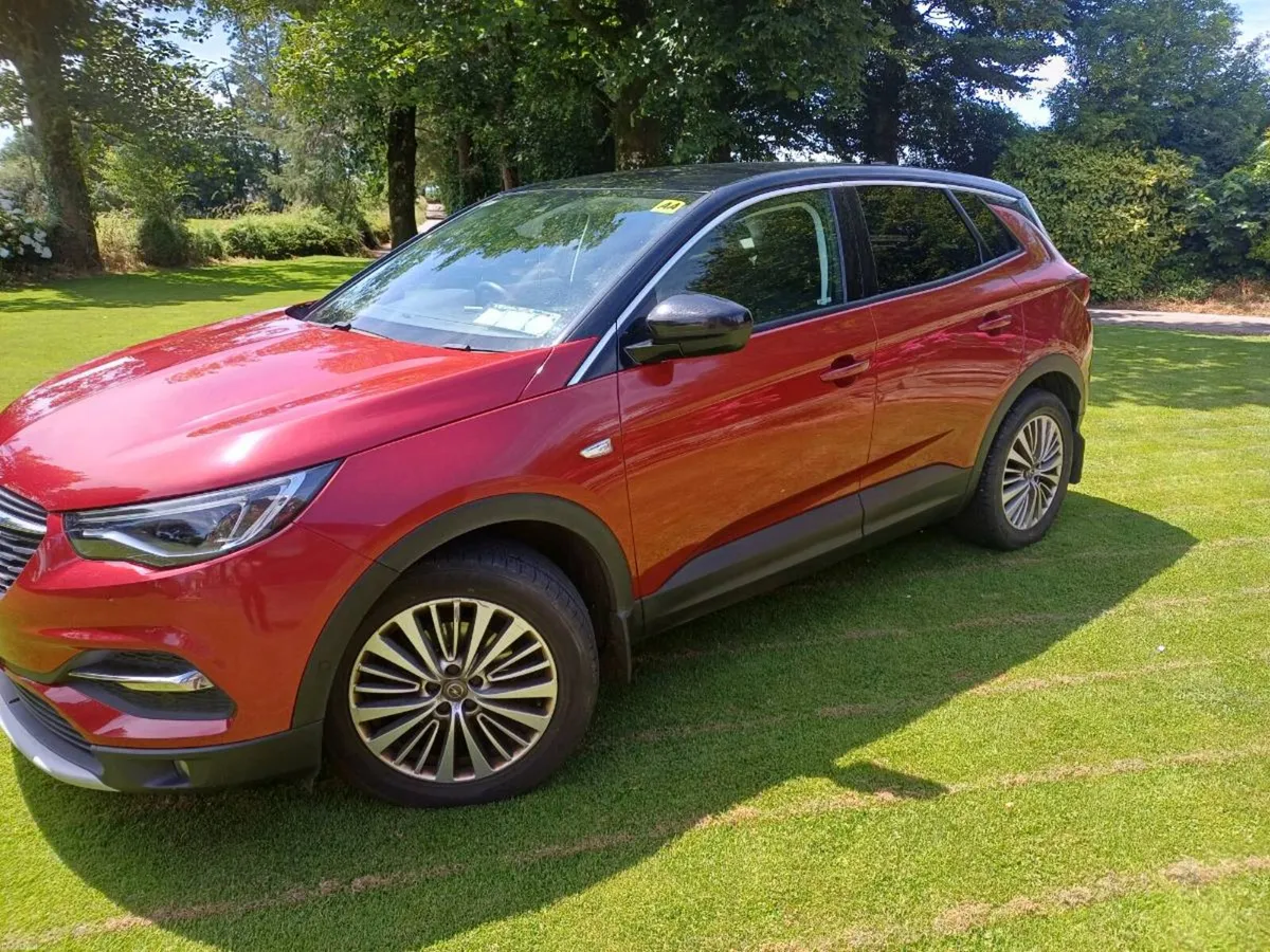 2018 Opel  Grandland x - Image 2
