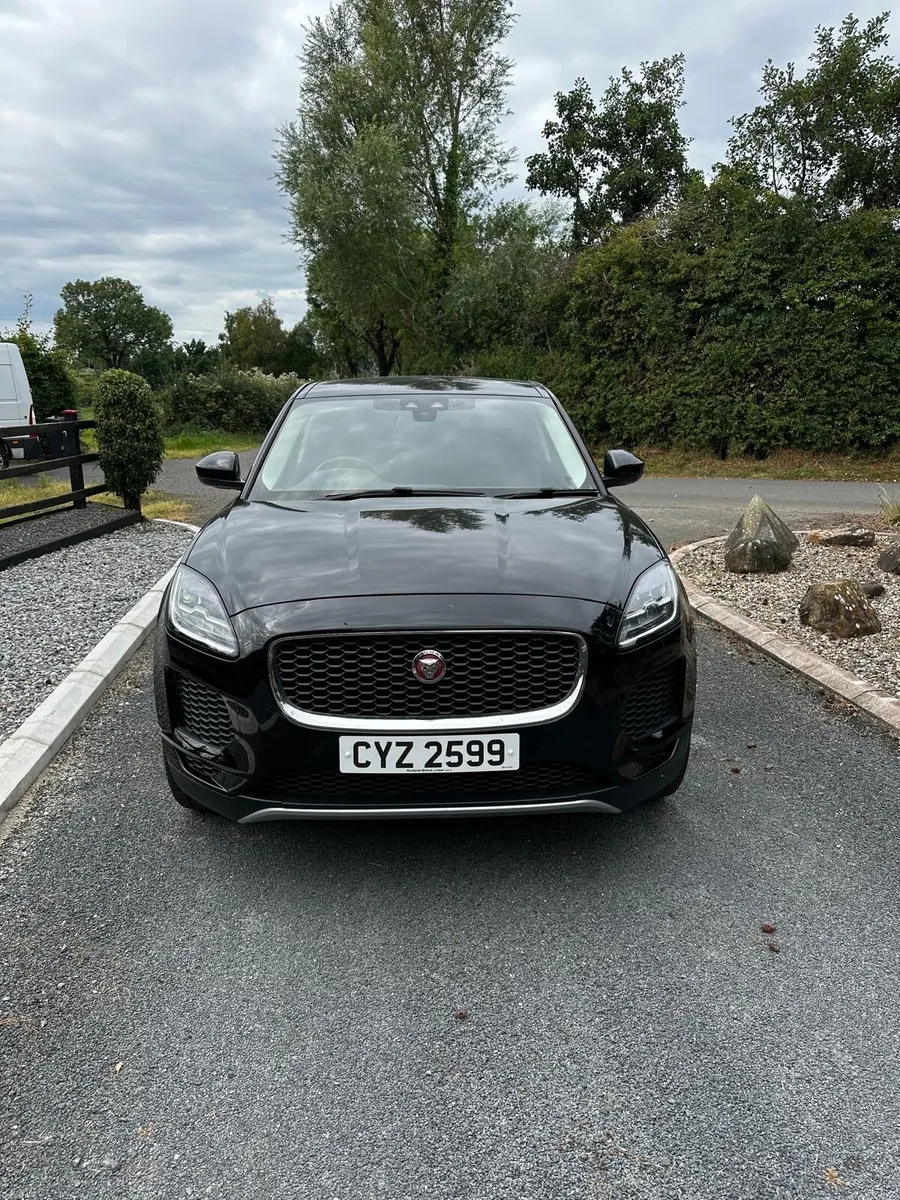 Jaguar e pace - Image 1