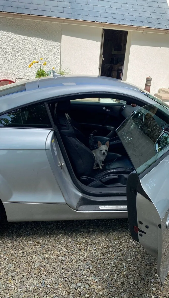 Audi TT 2.0L Petrol - Image 3