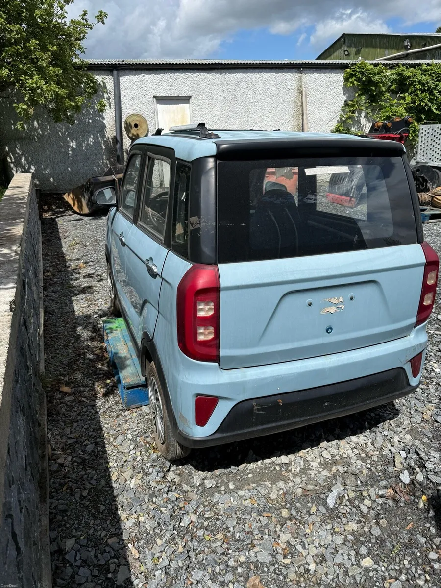 Raccoon electric motor car - Image 1