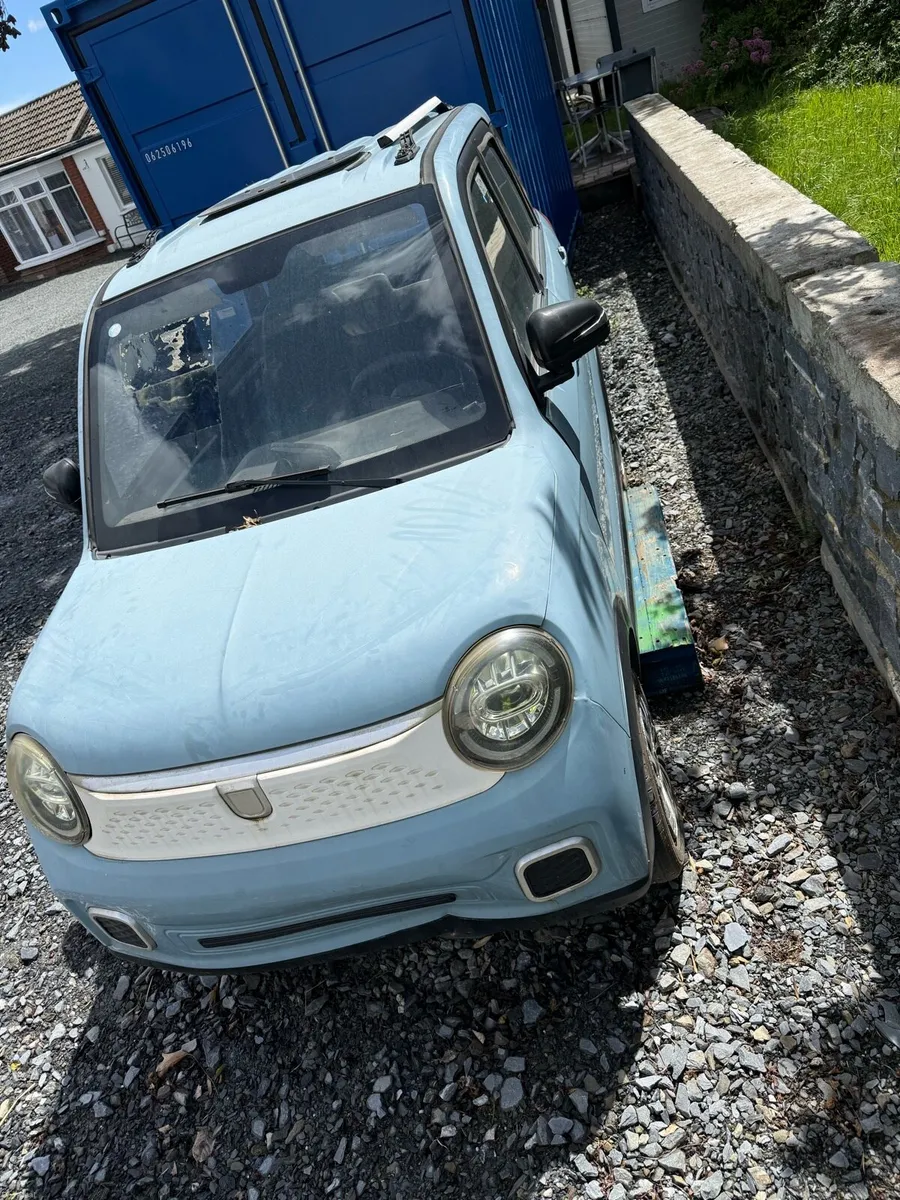 Raccoon electric motor car - Image 2