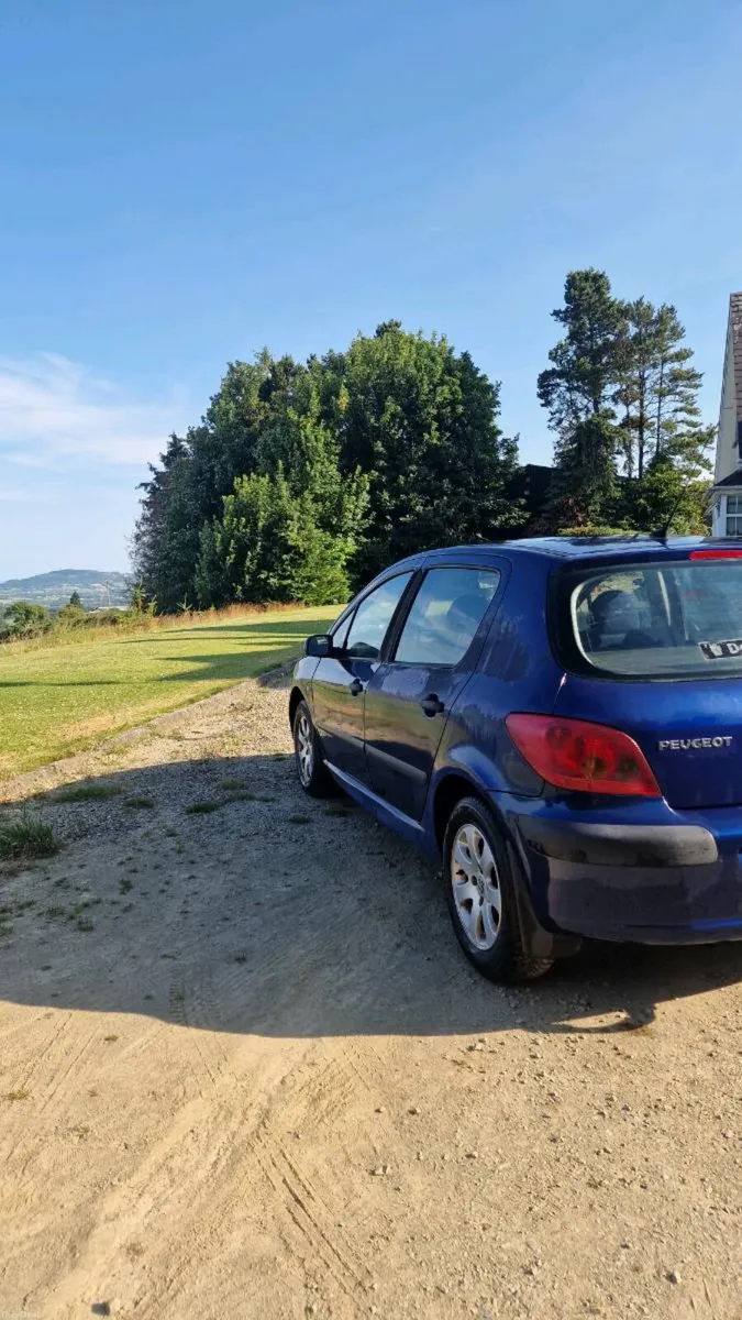 Peugeot 307 1.4 2004 - Image 4