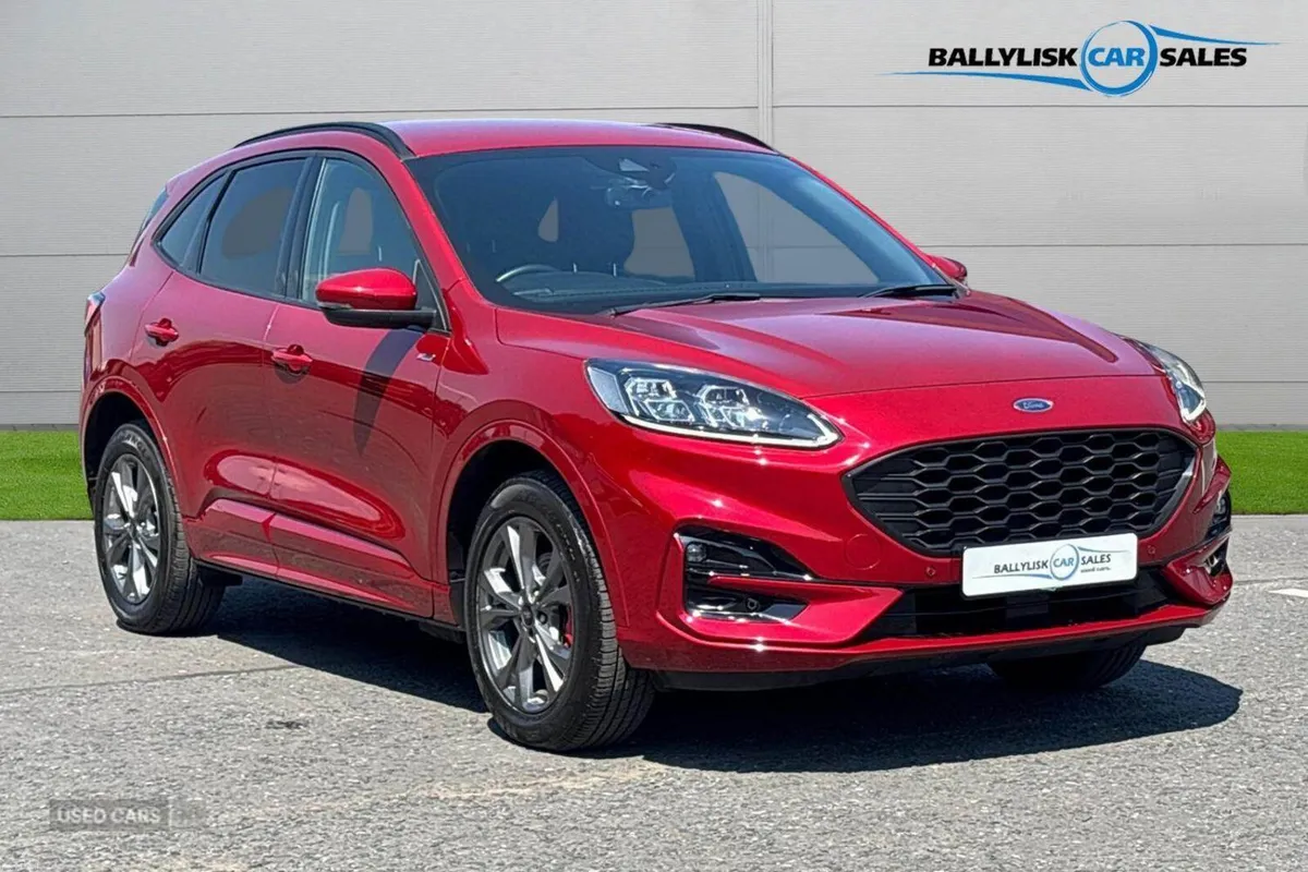 Ford Kuga 2.5 EcoBoost Duratec 14.4kWh ST-Line Pet - Image 1