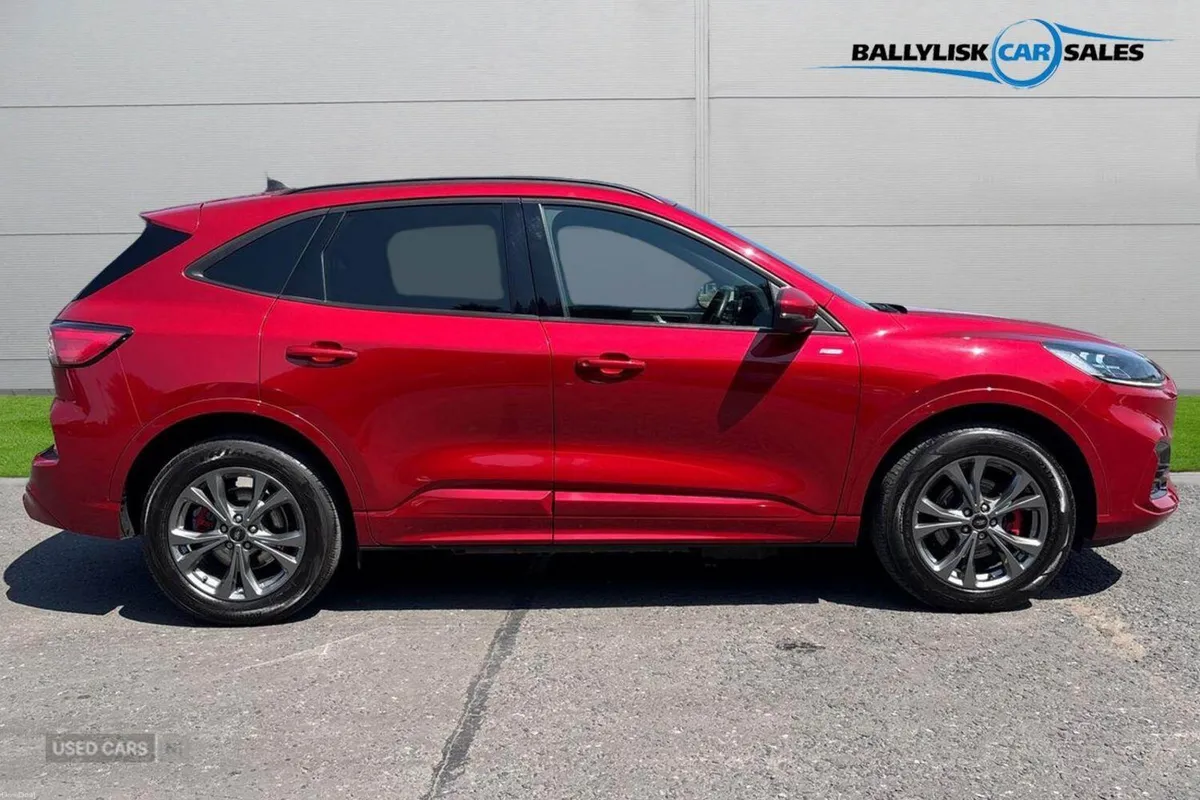 Ford Kuga 2.5 EcoBoost Duratec 14.4kWh ST-Line Pet - Image 3