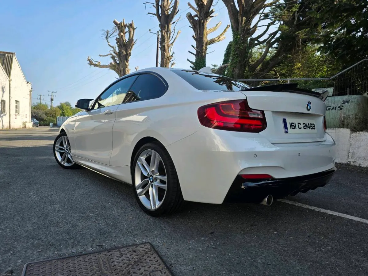 BMW 2 SERIES COUPE  M-Sport 2.0d Manual - Image 1