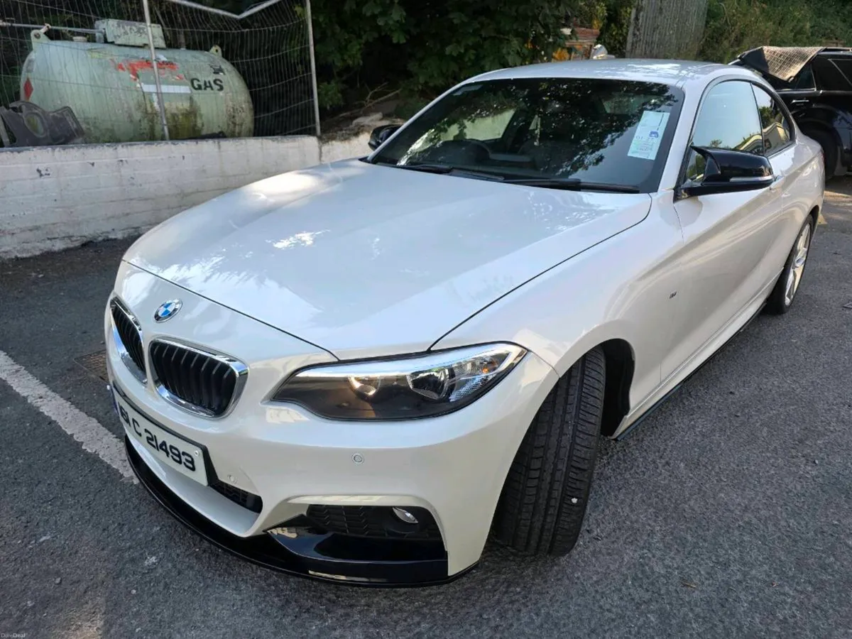 BMW 2 SERIES COUPE  M-Sport 2.0d Manual - Image 6