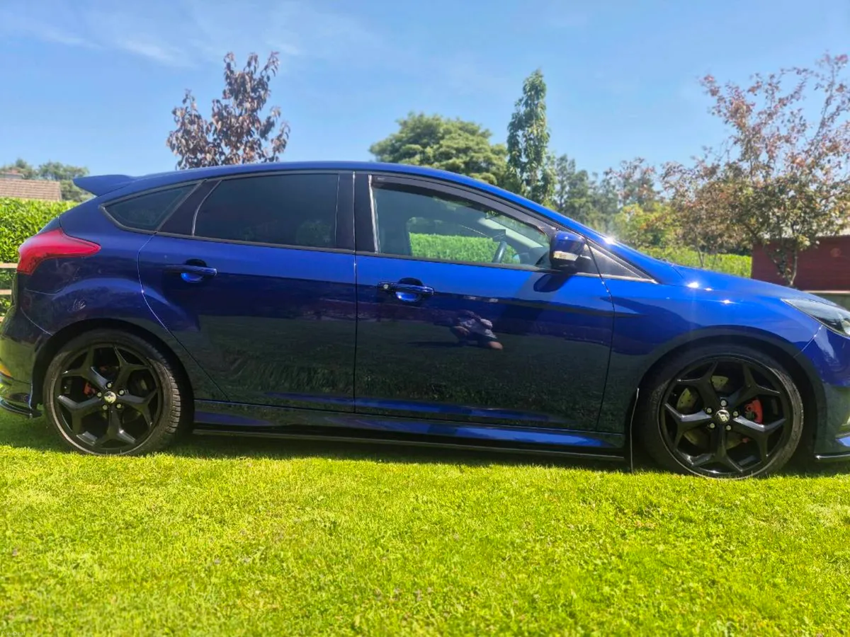St focus - Image 6