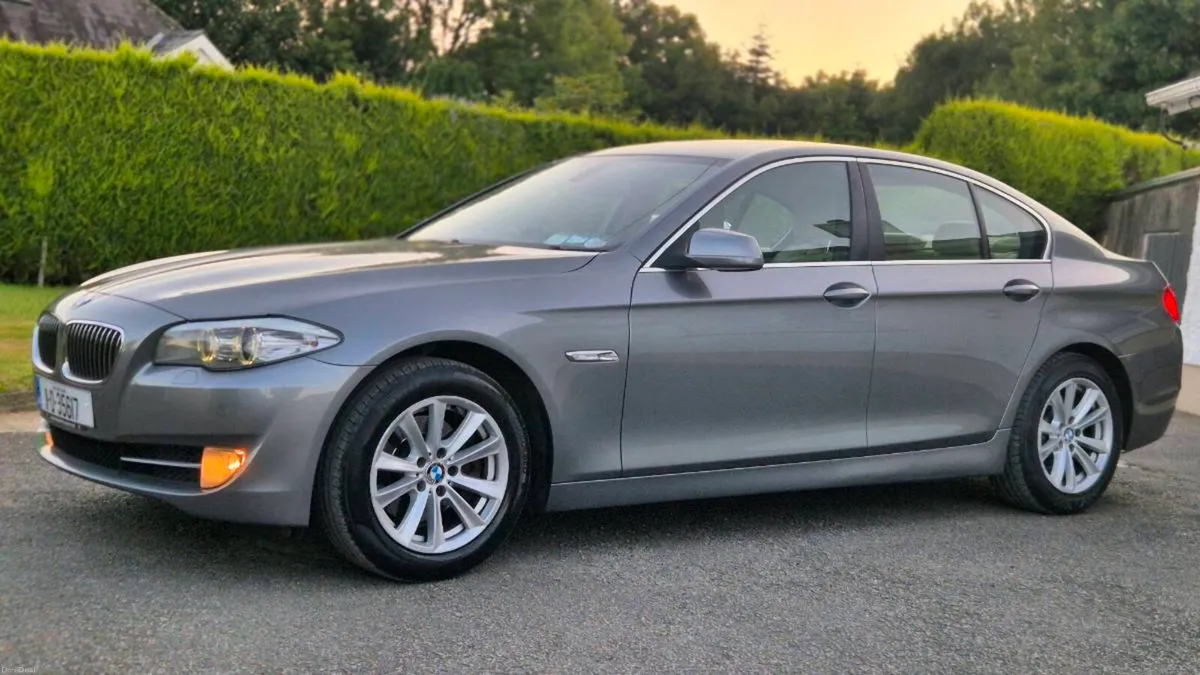 Bmw 520d SE (automatic) - Image 3