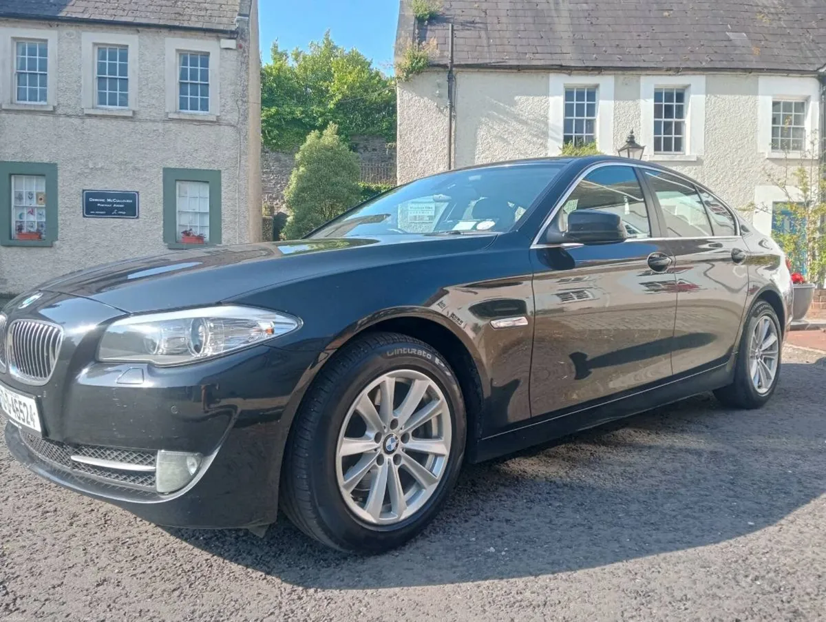 BMW 520d.F10 EFFICIENT DYNAMICS 4. - Image 2