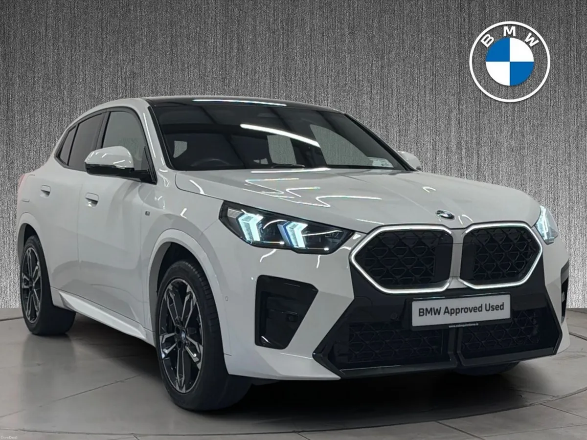 BMW X2 sDrive20i M Sport Auto - Image 1