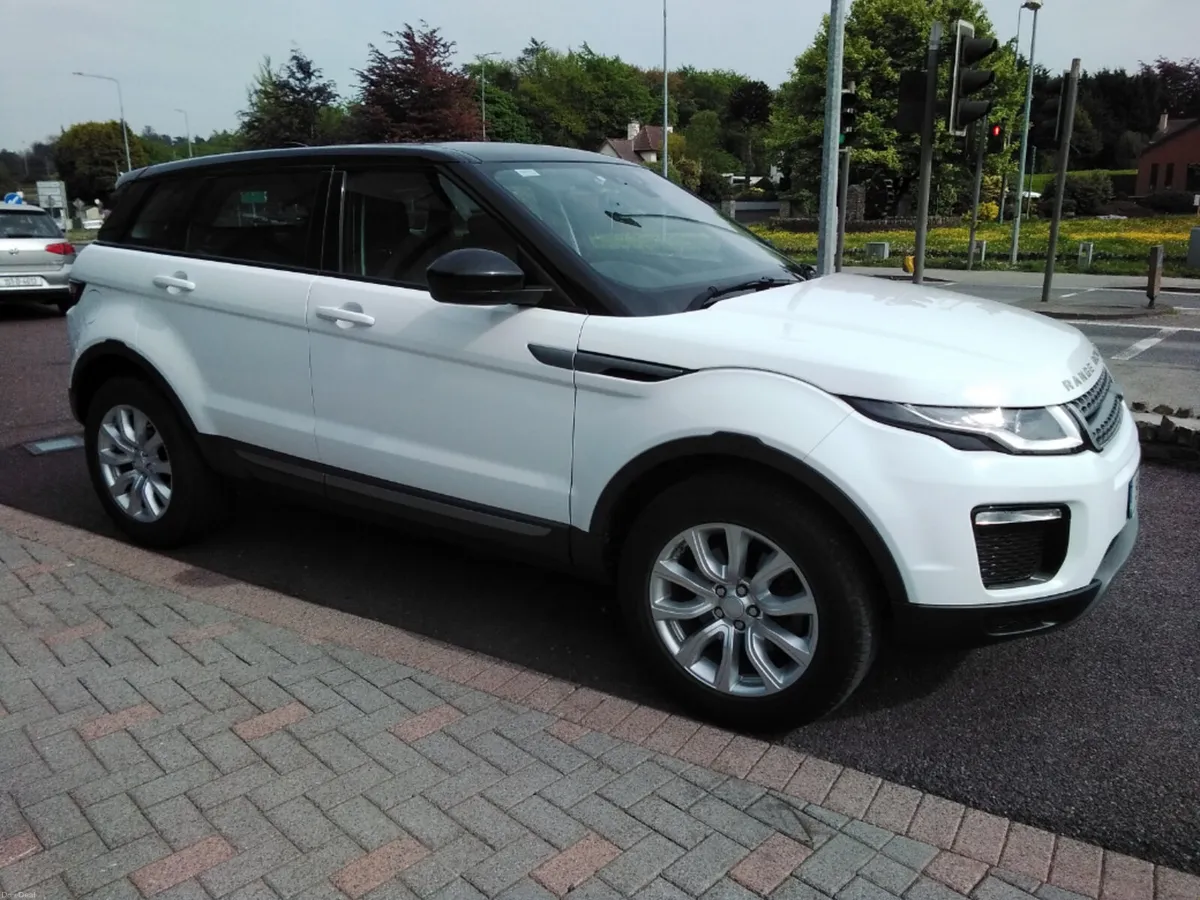 Land Rover Range Rover Evoque Evoque TD4 SE MY19 5 - Image 1