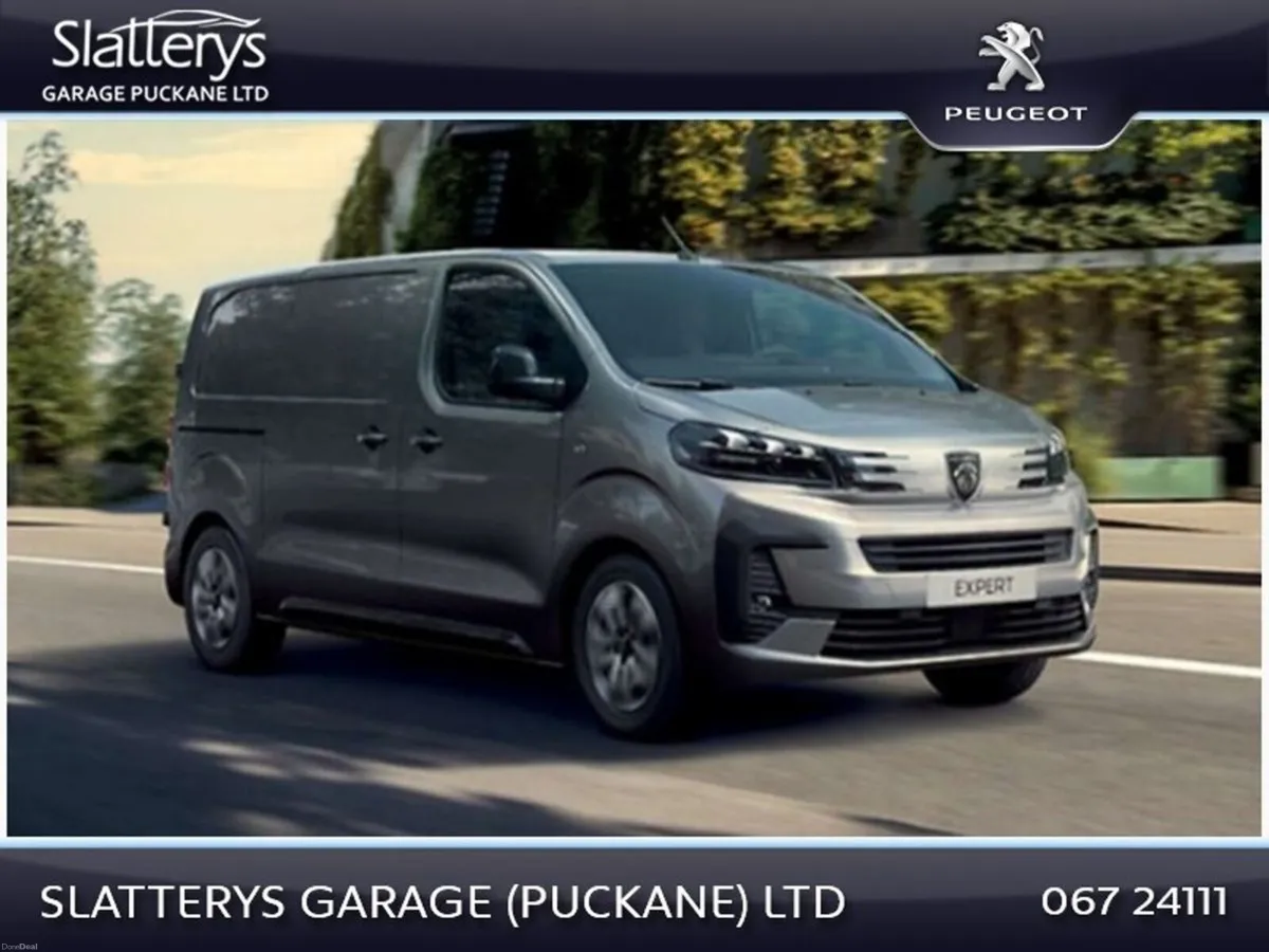 Peugeot Expert EXPERT PROFESSIONAL LONG 1.5 B - Image 1