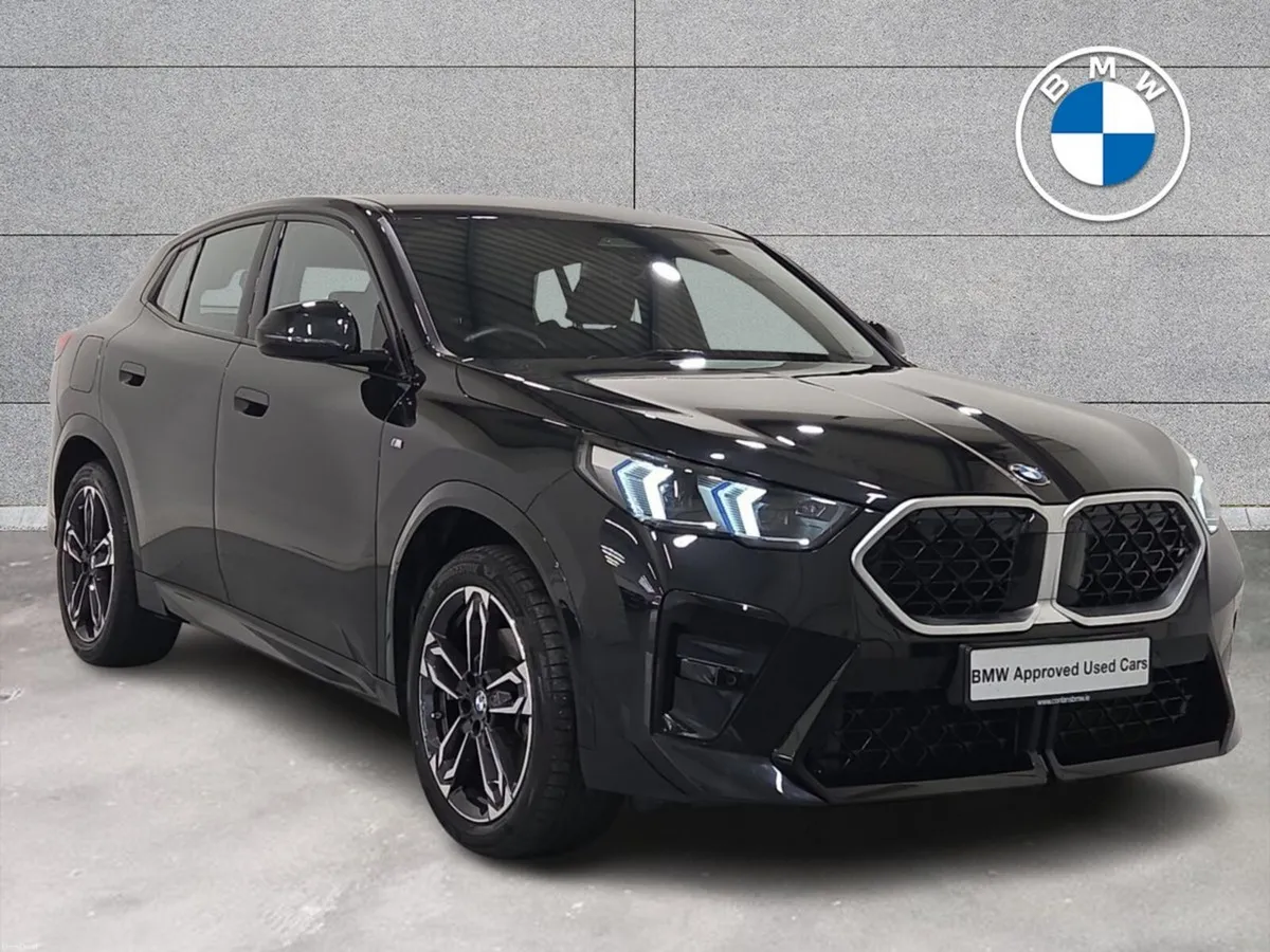 BMW X2 sDrive20i M Sport Auto - Image 1