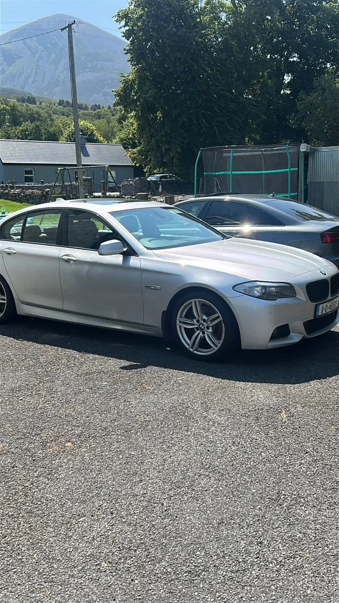 BMW 530d - Image 1